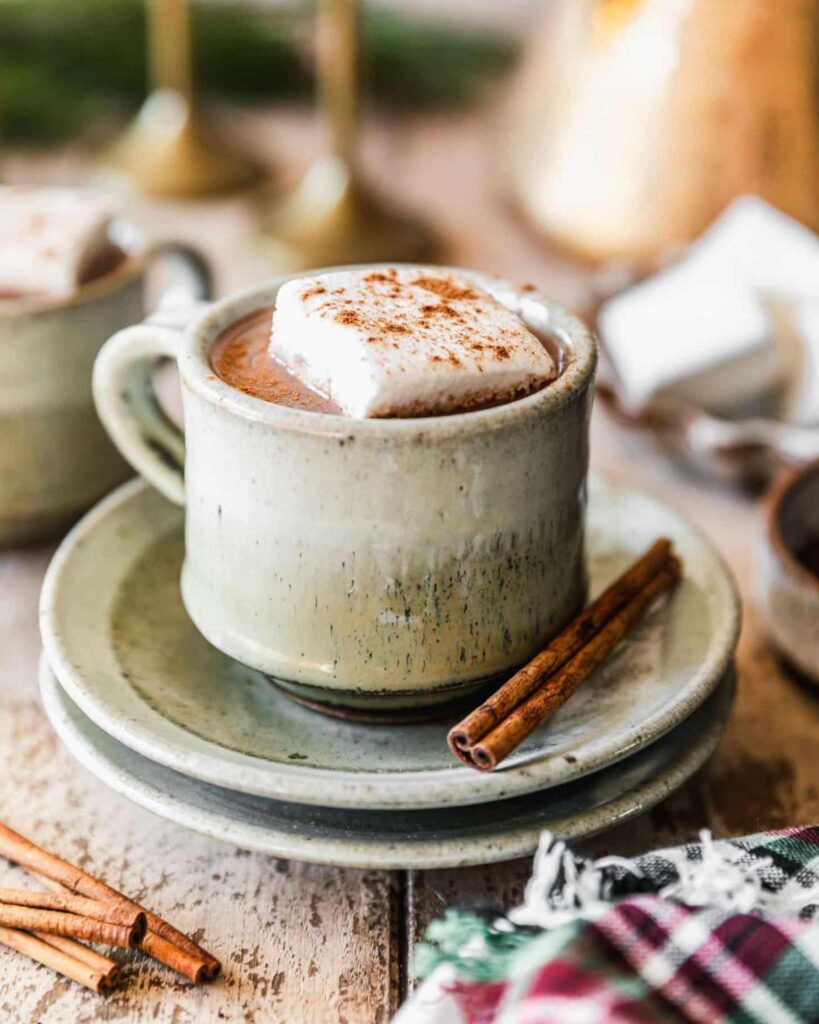 Creamy Cinnamon Hot Cocoa
