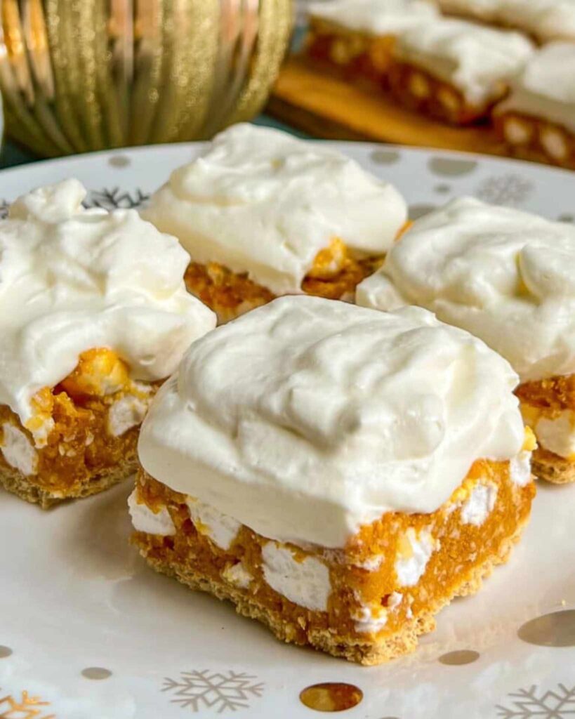 Freezer Friendly No Bake Recipes