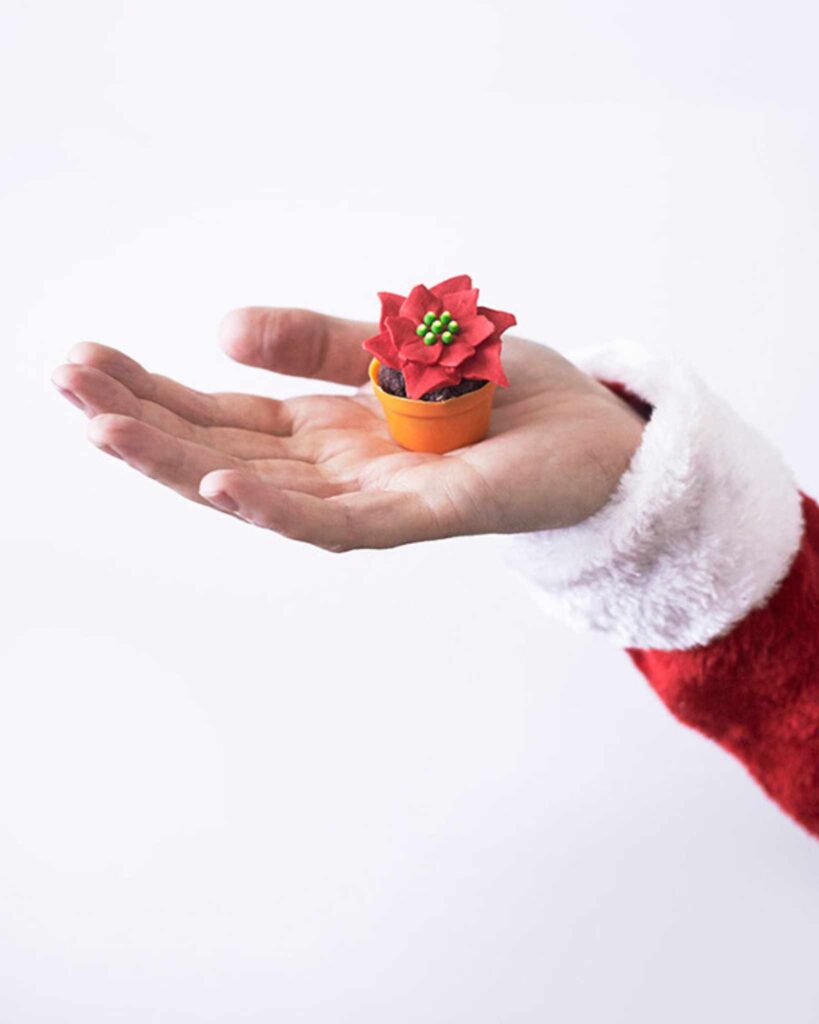 Poinsettia Cake Pops