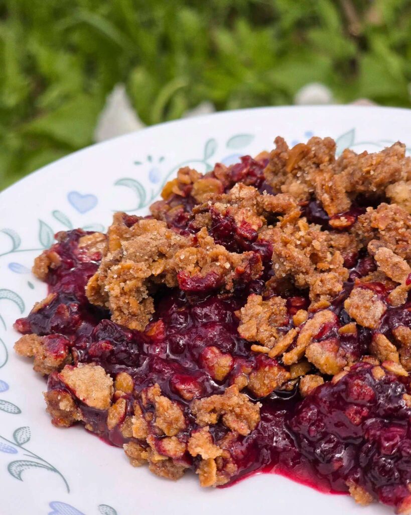 Foil Packet Berry Crumble